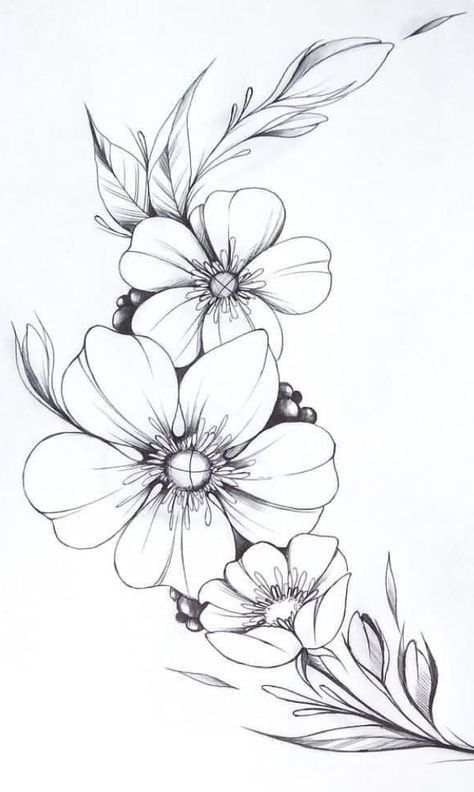 Beautiful Flower Best Drawing