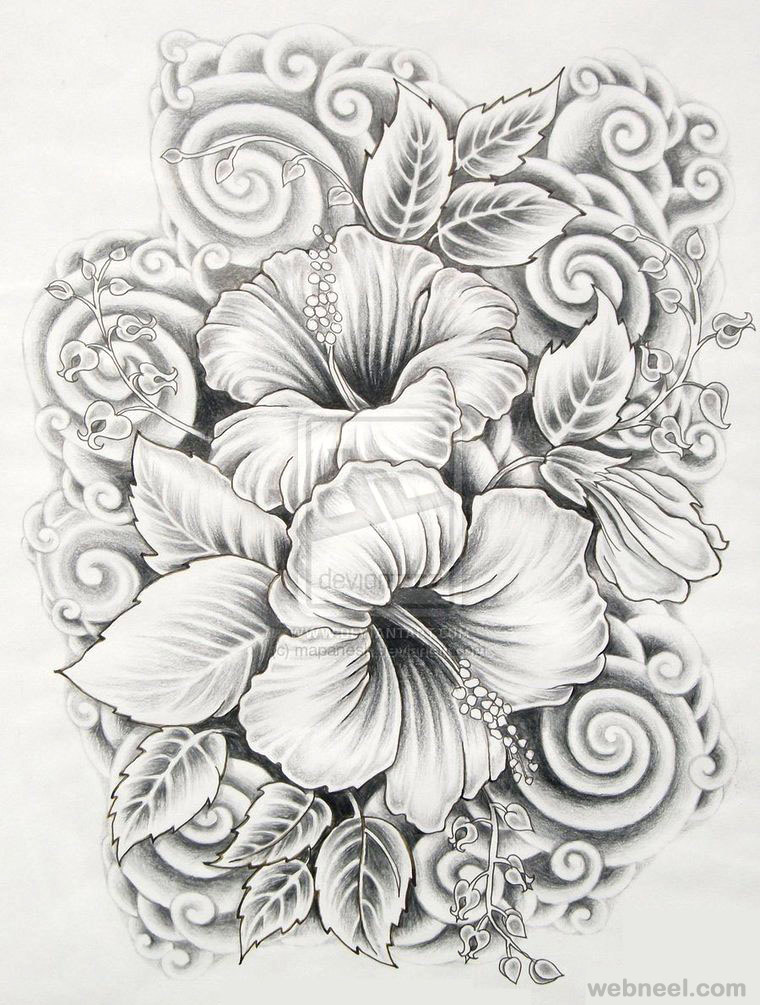 Beautiful Flower Drawing Art