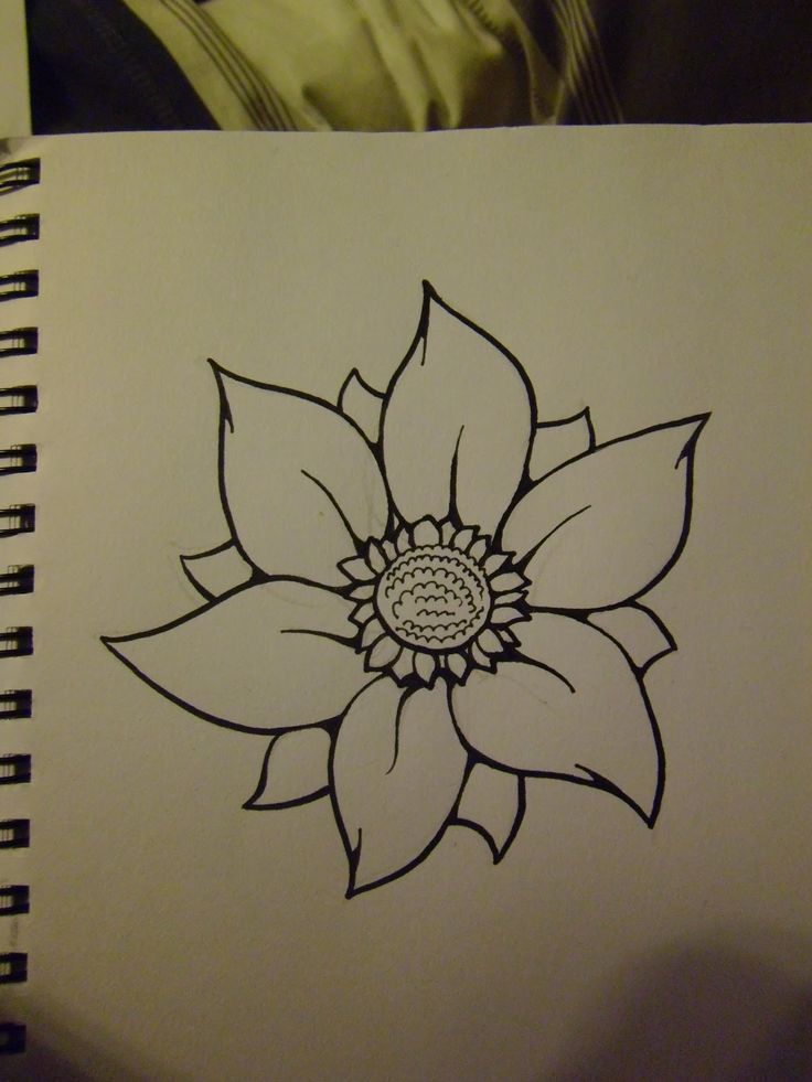 Beautiful Flower Drawing High-Quality