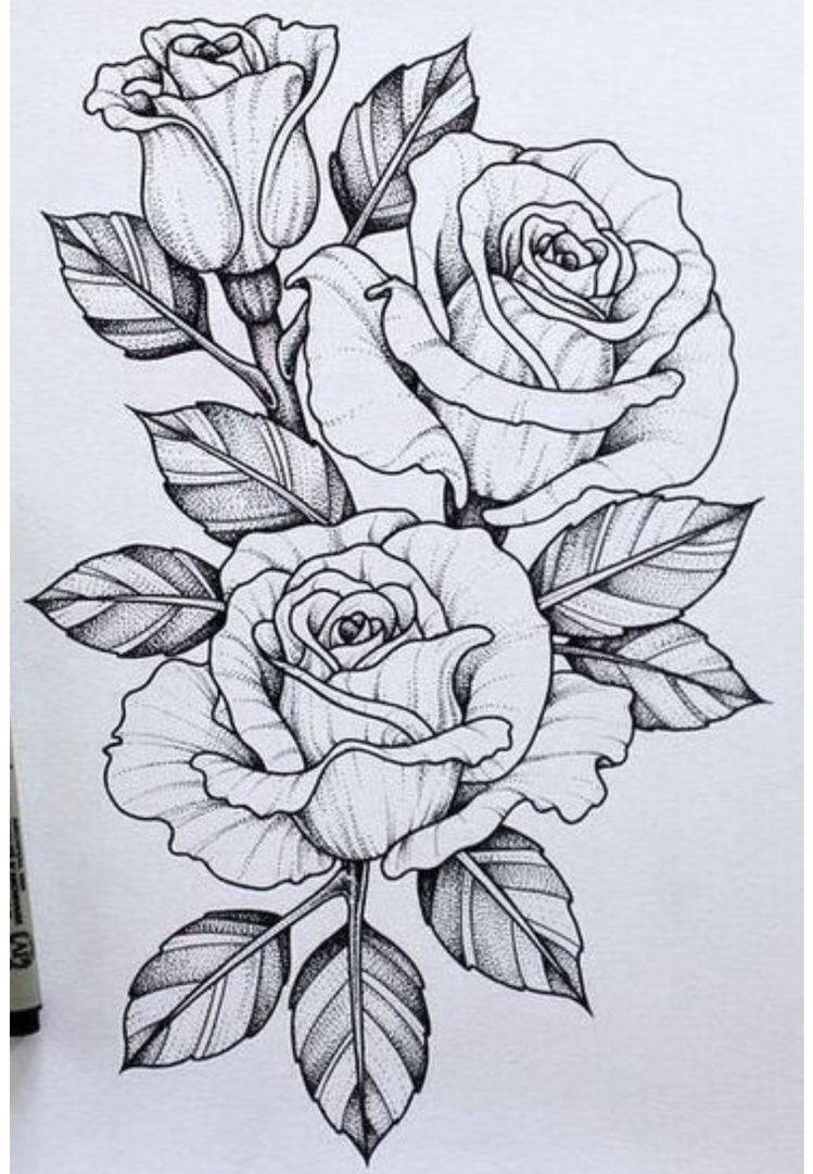 Beautiful Flower Drawing Picture
