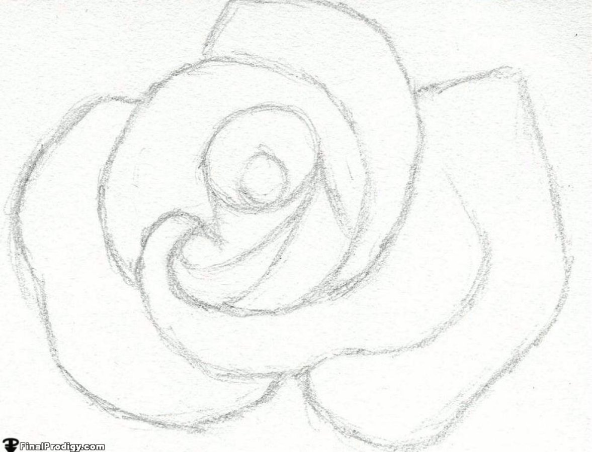 Beautiful Rose Drawing Beautiful Art