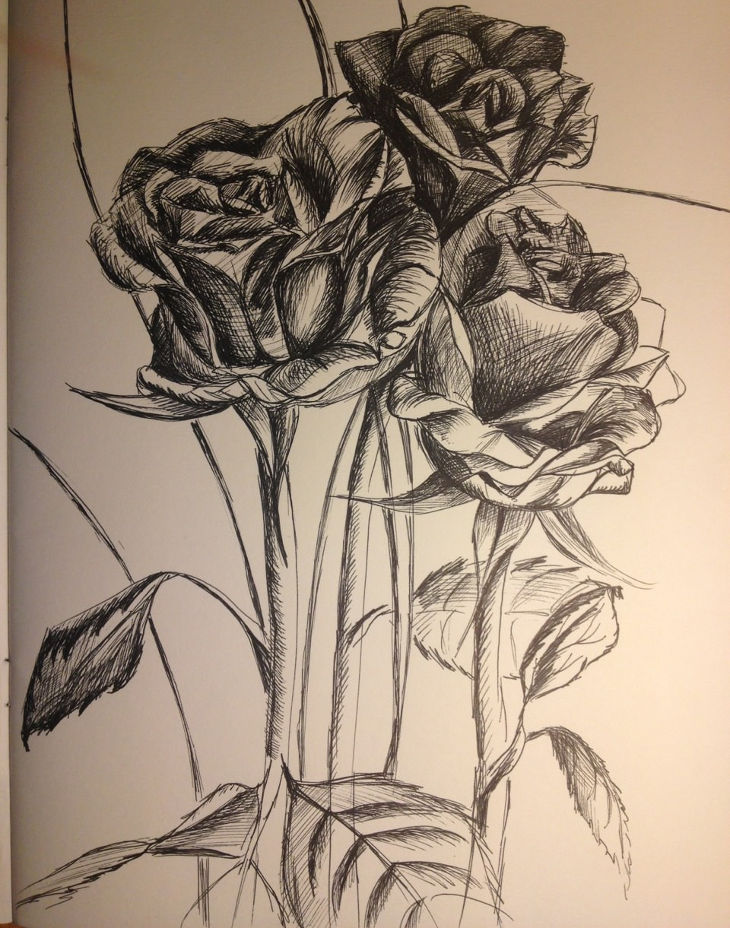 Beautiful Rose Drawing Image