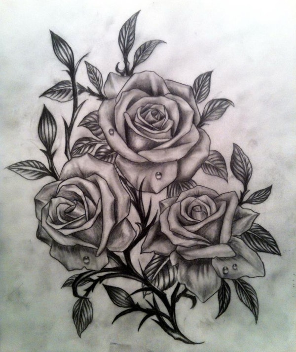 Beautiful Rose Drawing Photo