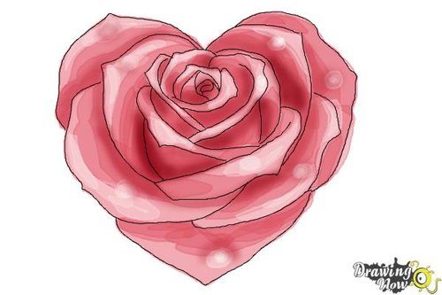 Beautiful Rose Drawing Realistic
