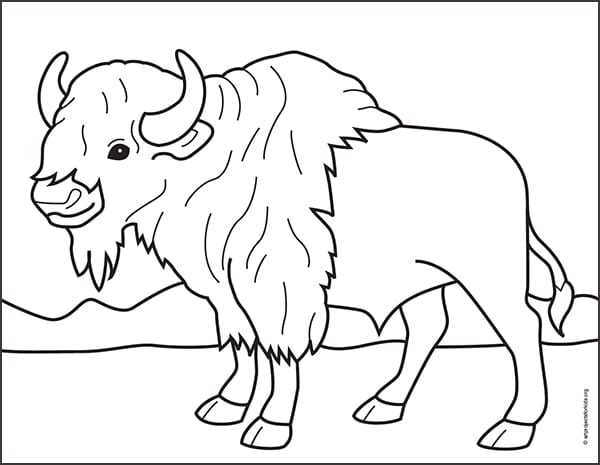 Bison Drawing Image