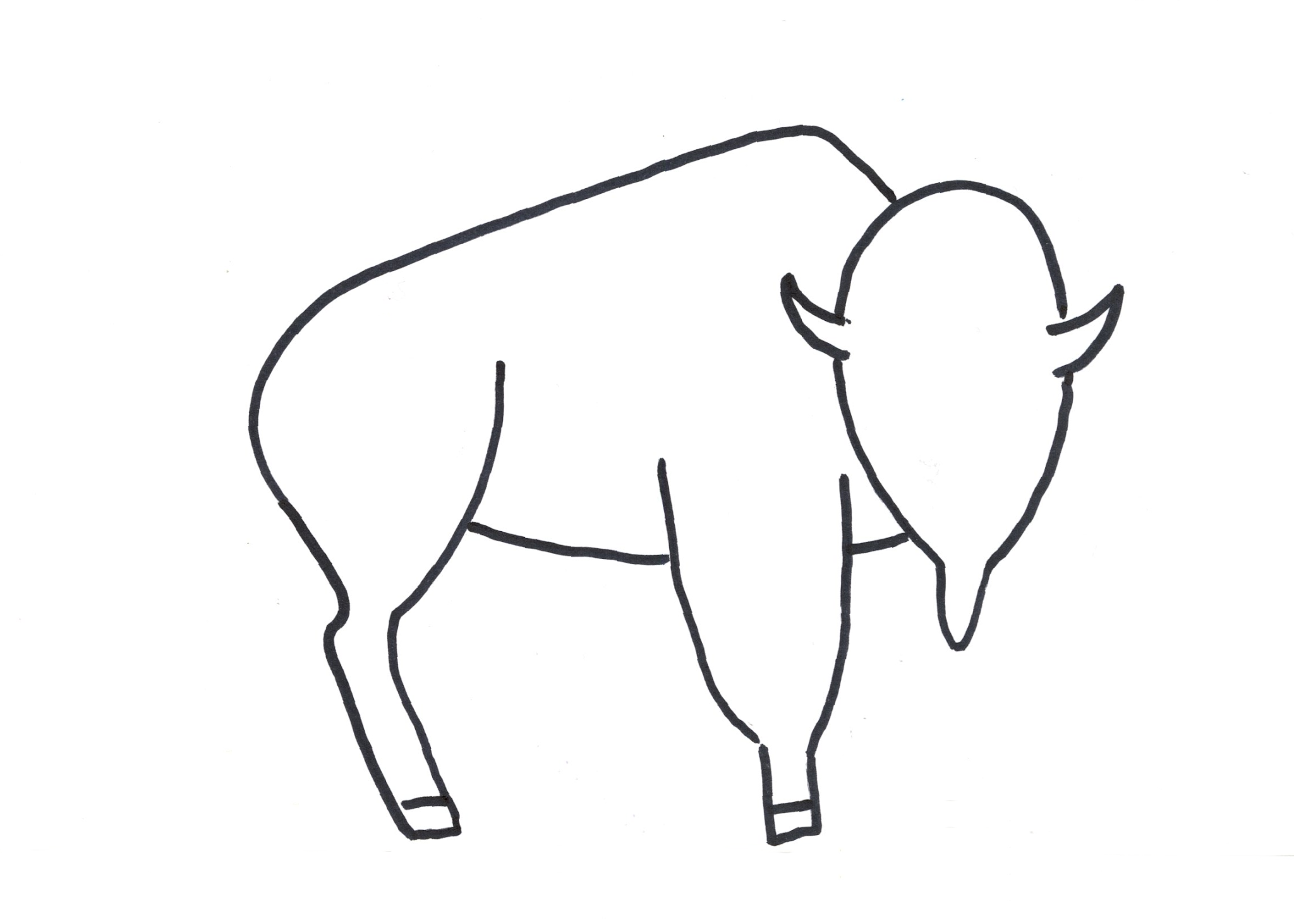 Bison Drawing Pic