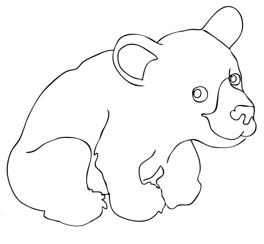 Black Bear Drawing Pics