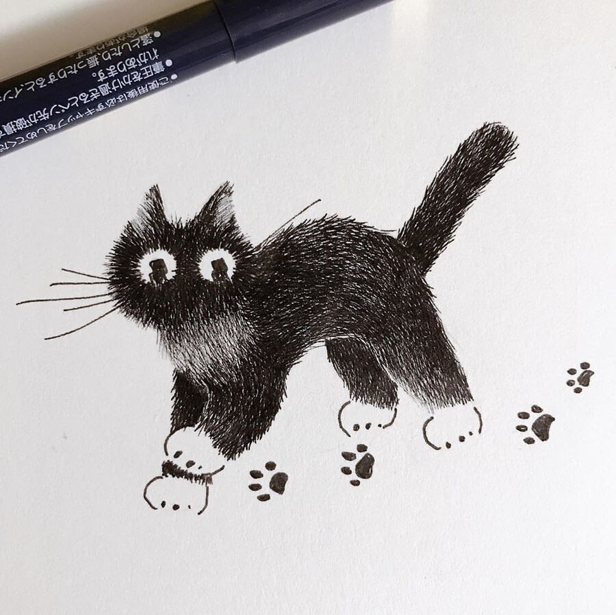 Black Cat Drawing Amazing
