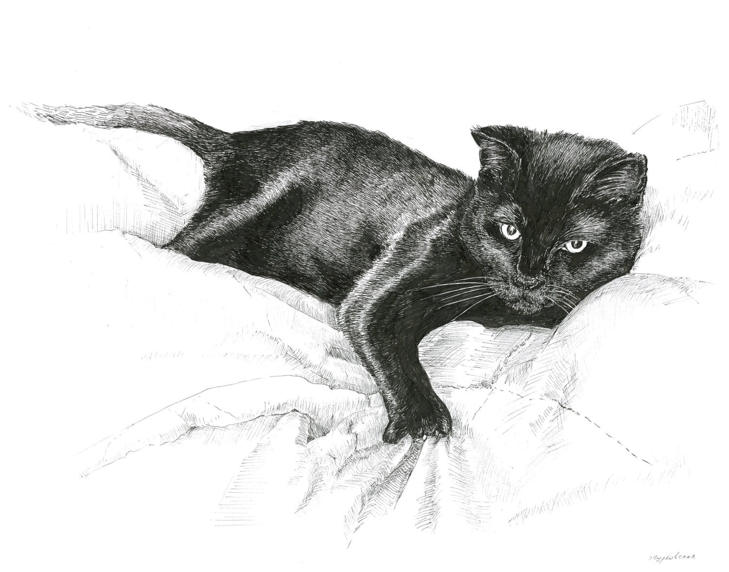 Black Cat Drawing Beautiful Image
