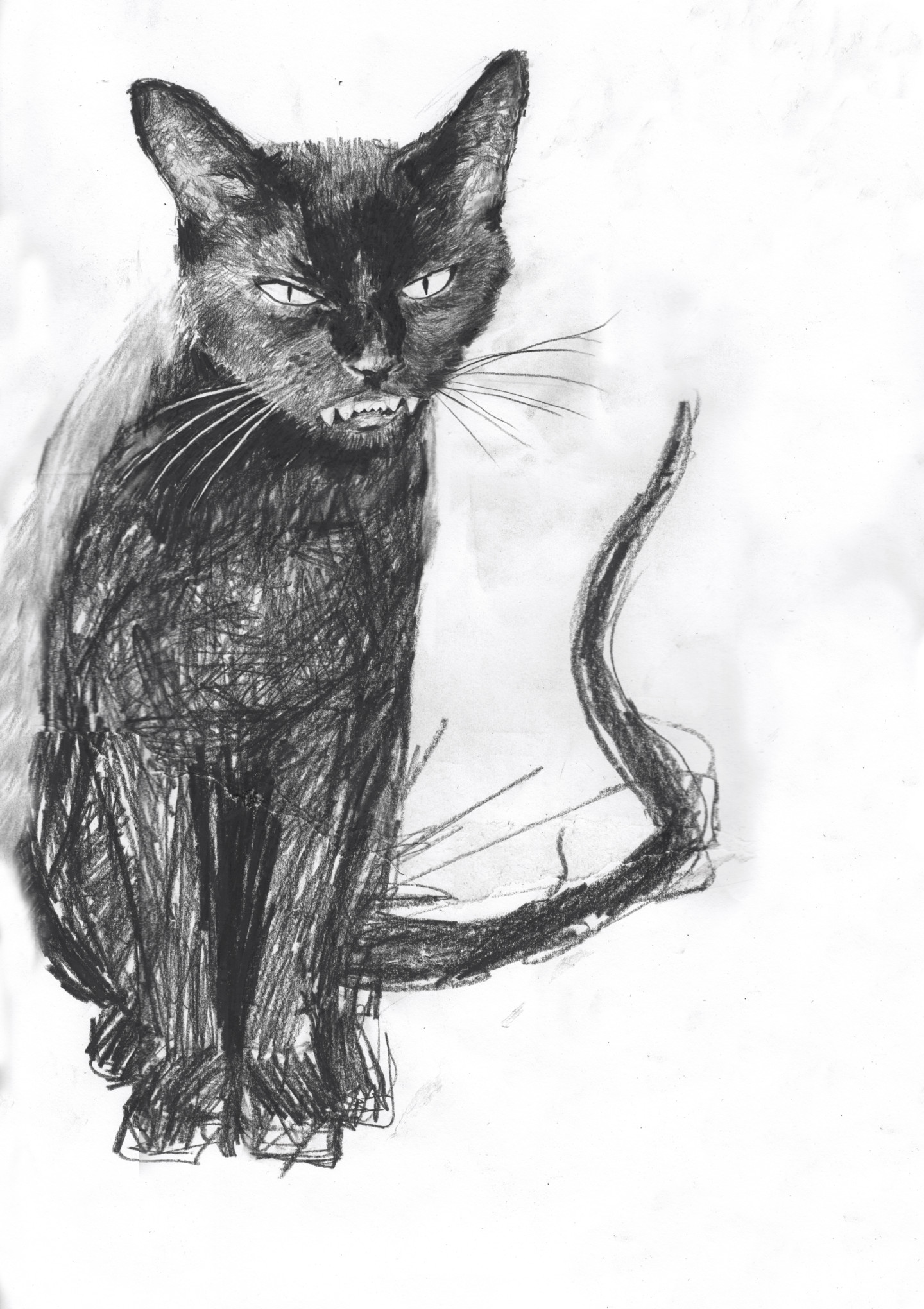 Black Cat Drawing High-Quality