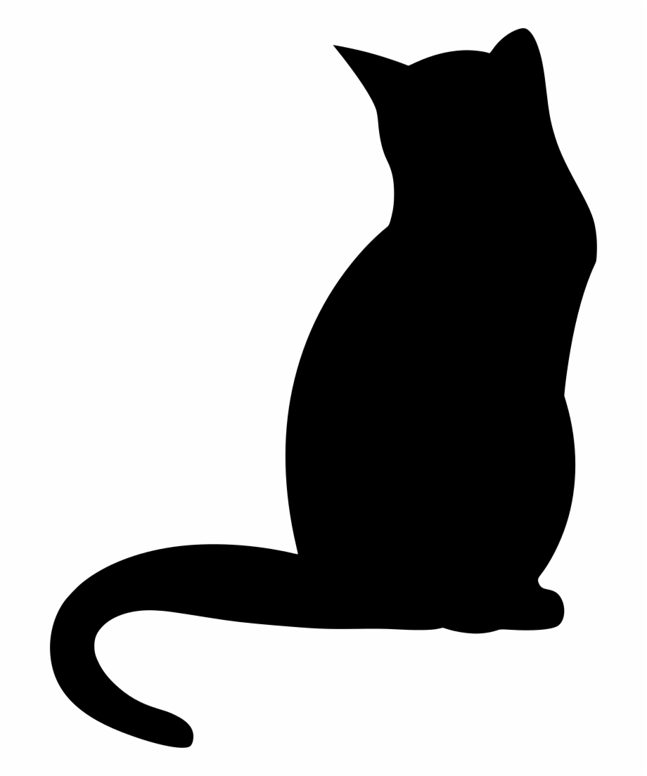 Black Cat Drawing Image