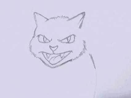 Black Cat Drawing Sketch
