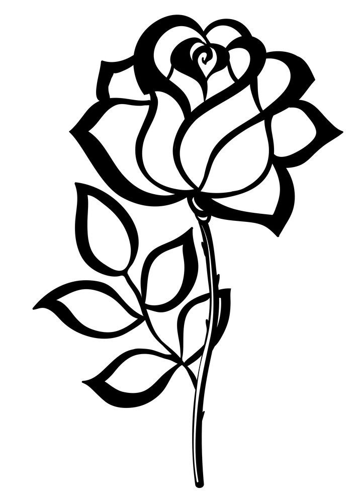 Black Roses Art Drawing