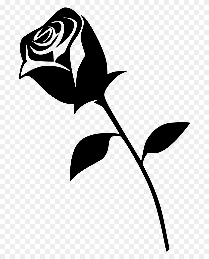 Black Roses Drawing Beautiful Image