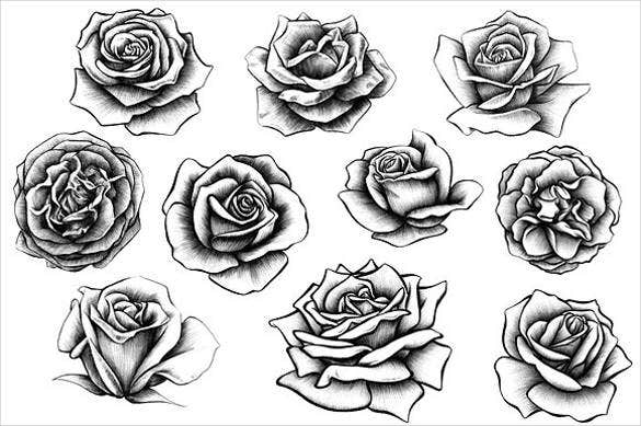 Black Roses Drawing Creative Art