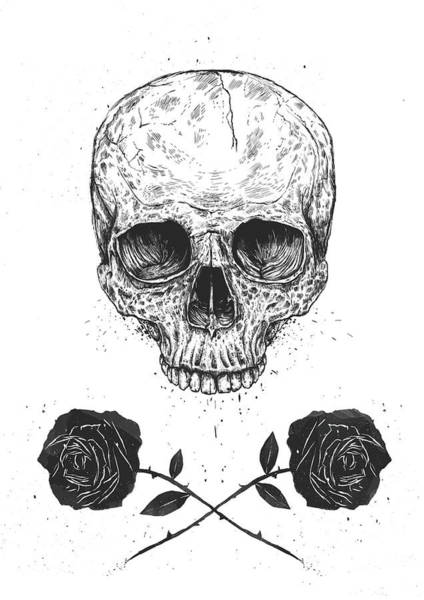 Black Roses Drawing Images