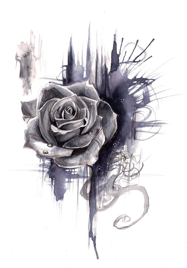 Black Roses Drawing Photo