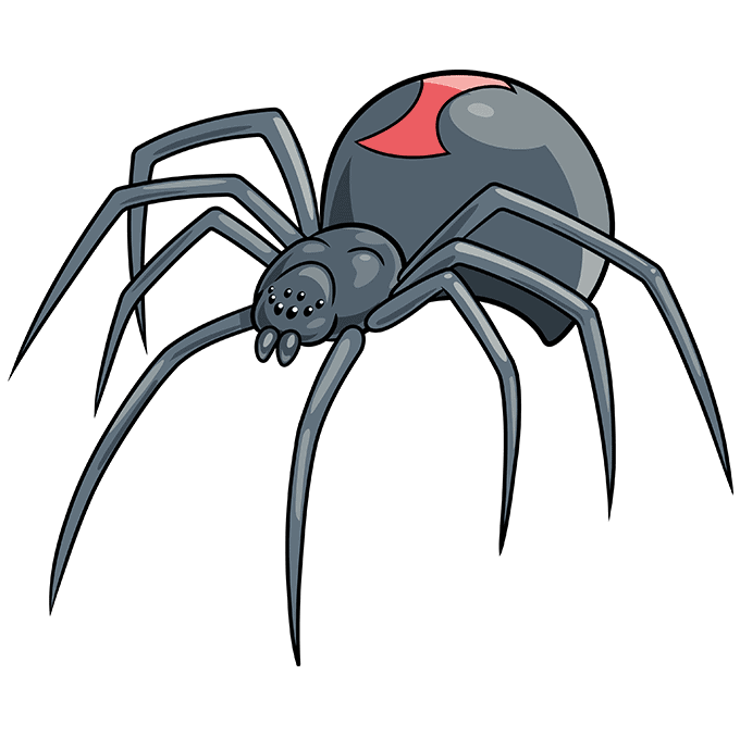 Black Widow Spider Drawing Beautiful Art