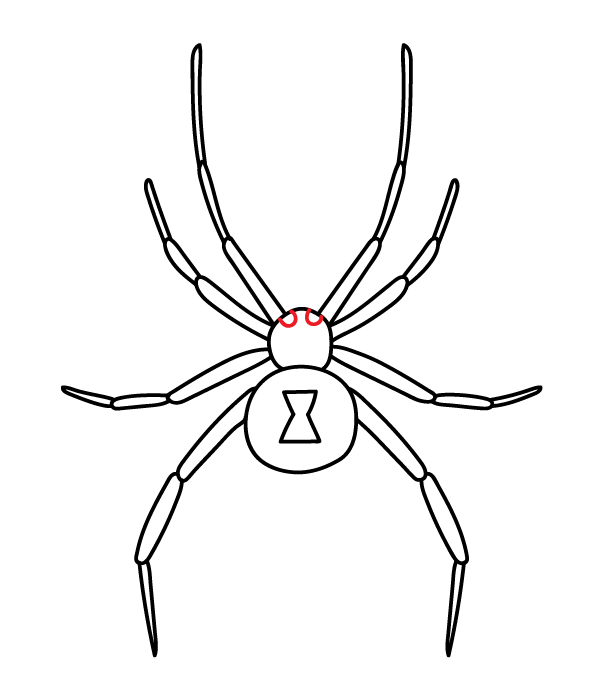 Black Widow Spider Drawing Creative Art