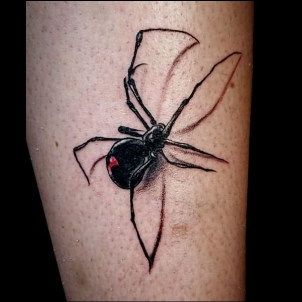 Black Widow Spider Drawing Pics