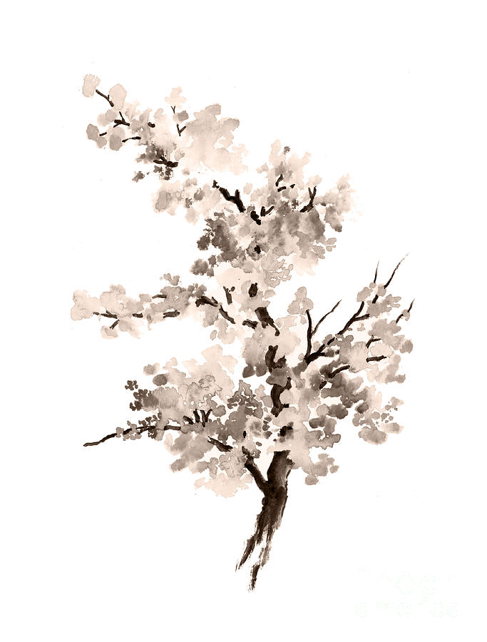 Blossom Tree Best Drawing