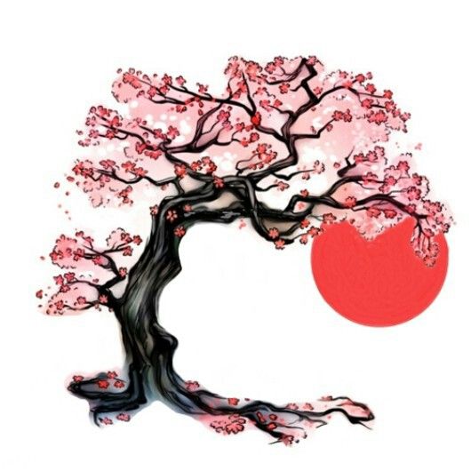 Blossom Tree Drawing Amazing