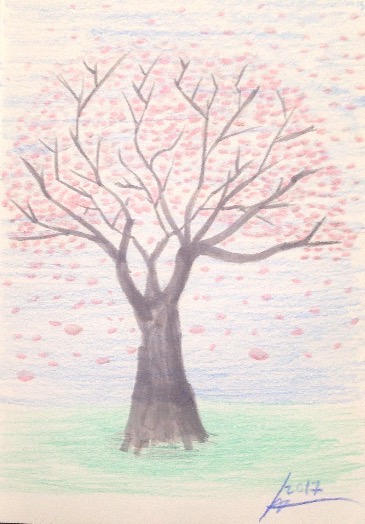 Blossom Tree Drawing Beautiful Image