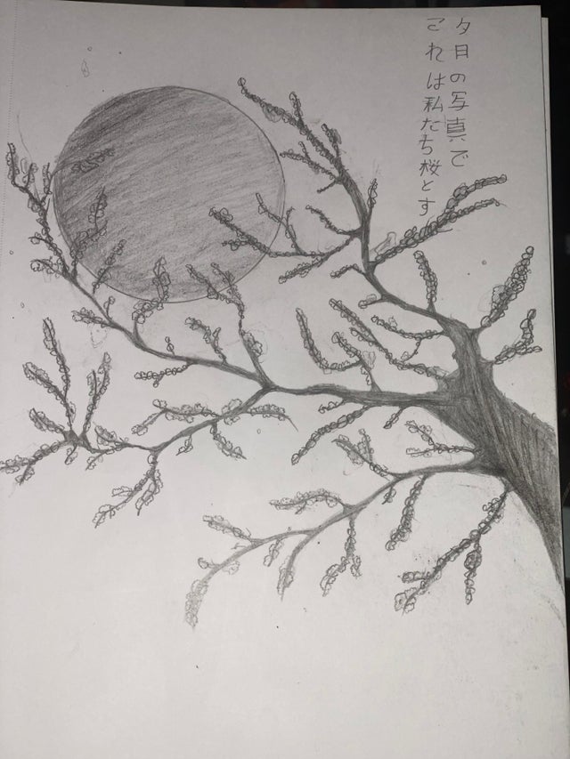 Blossom Tree Drawing Sketch