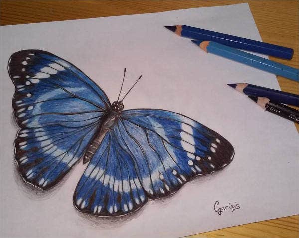 Blue Butterflies Drawing Photo