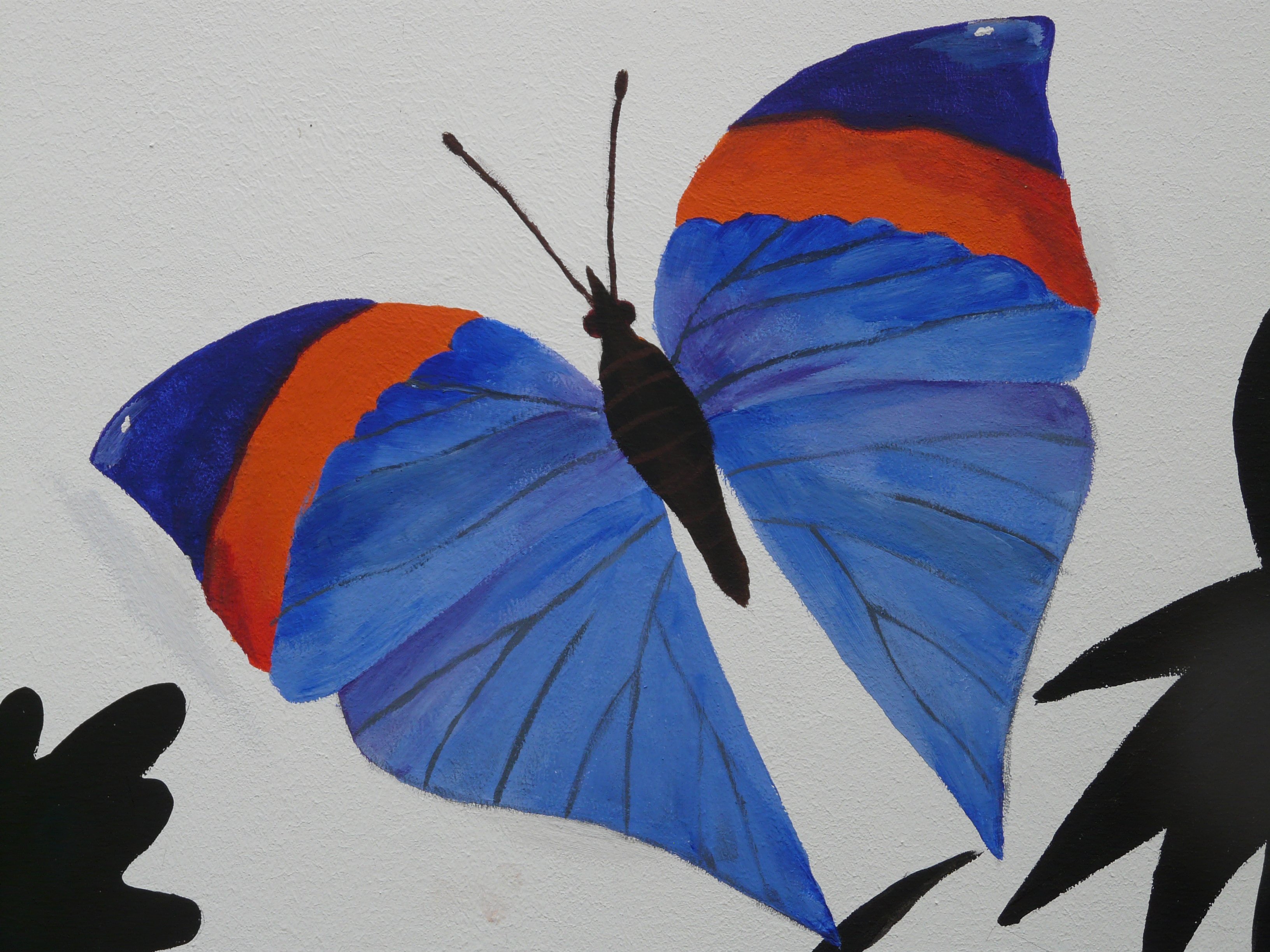 Blue Butterflies Drawing Pic