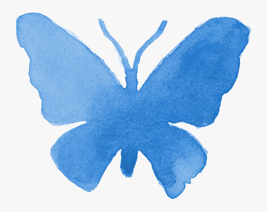 Blue Butterflies Drawing