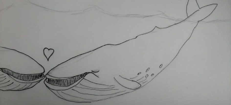Blue Whale Drawing Image
