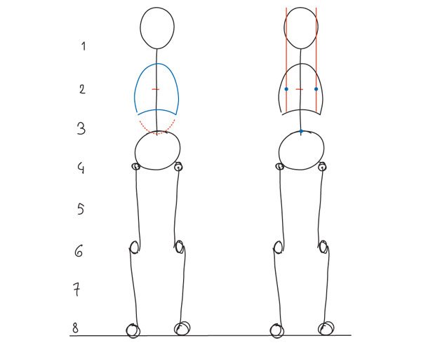 Body Anatomy Drawing Pictures