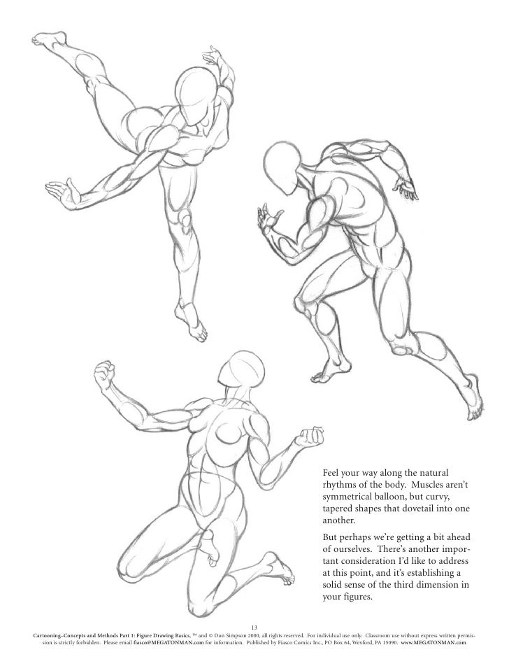 Body Figure Drawing Images