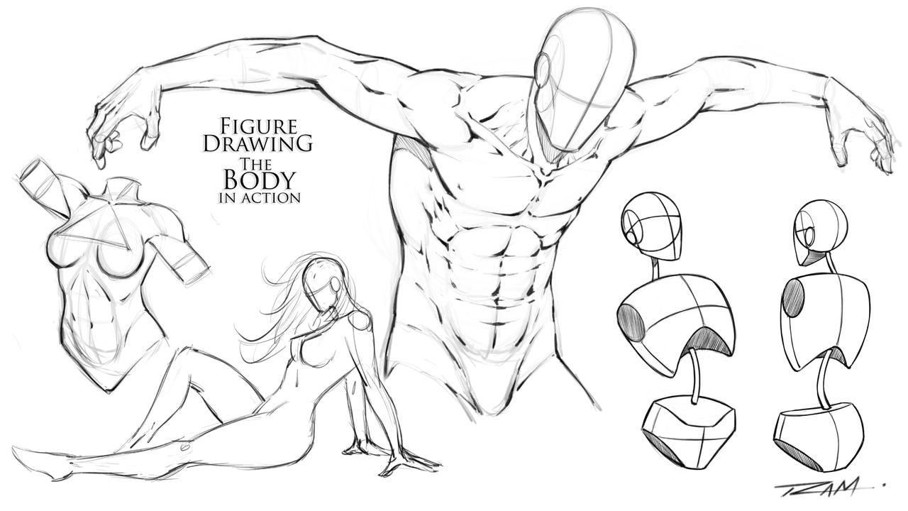 Body Figure Drawing Realistic