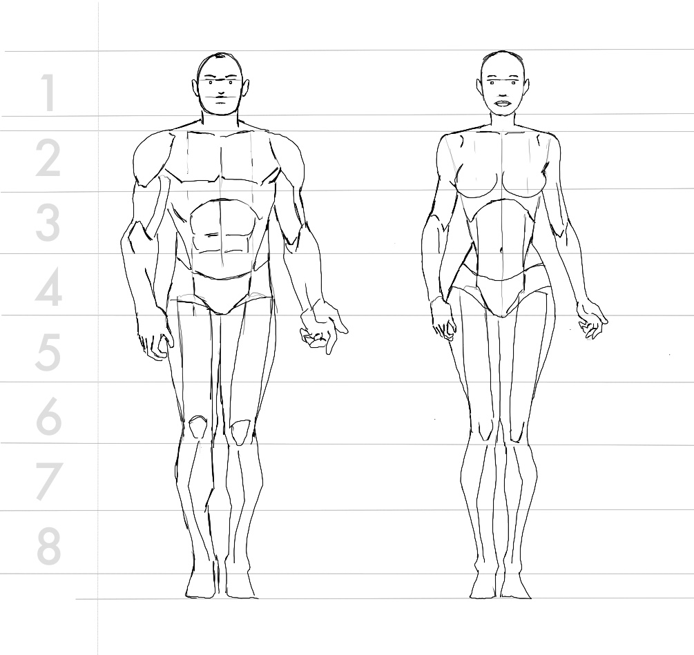 Body Figure Drawing Sketch