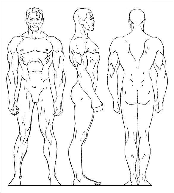 Body Outline Art Drawing