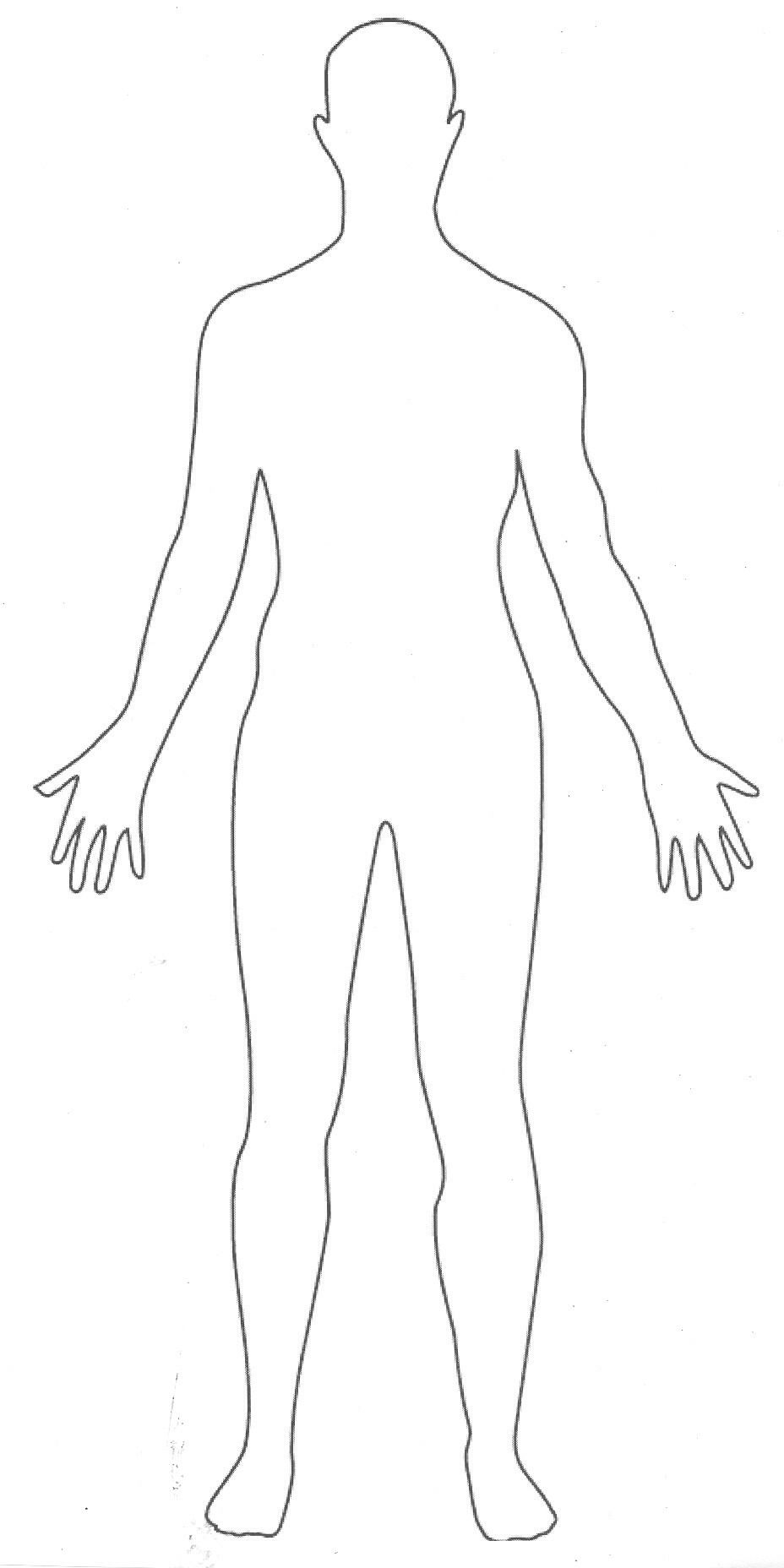 Body Outline Drawing Beautiful Image