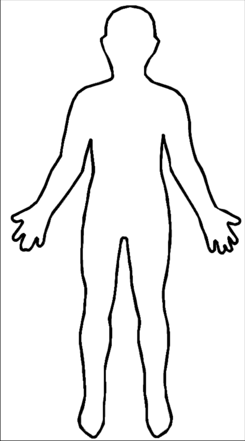 Body Outline Drawing Photo