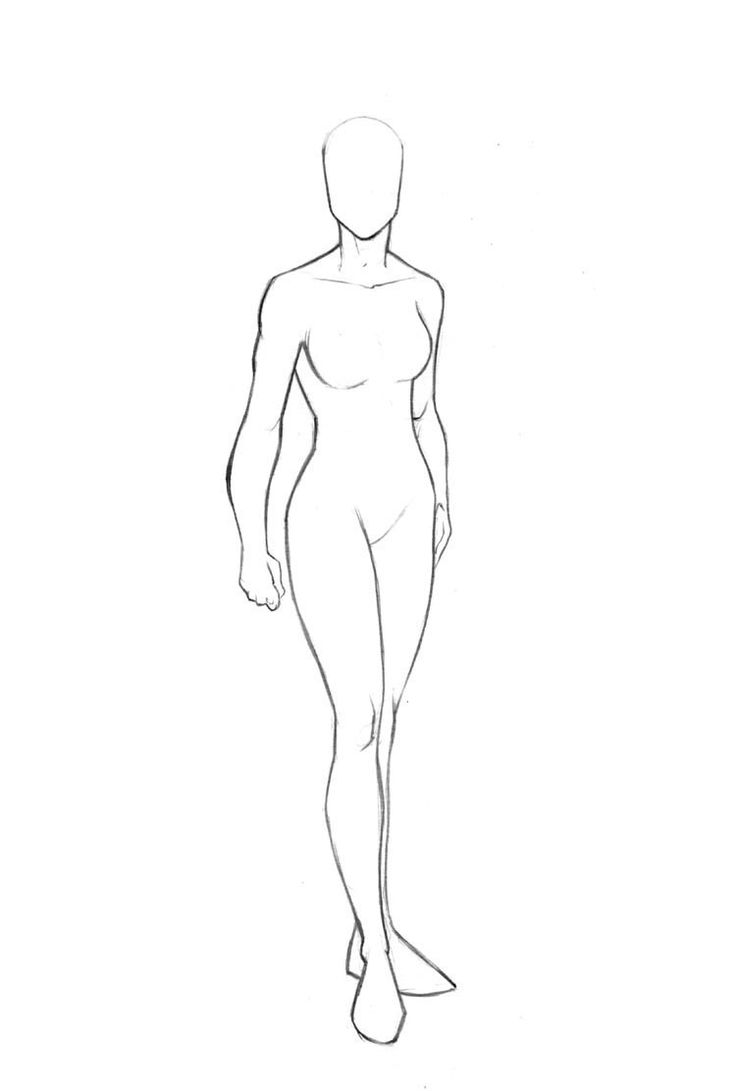 Body Outline Drawing Sketch