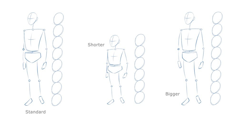 Body Proportions Drawing Image