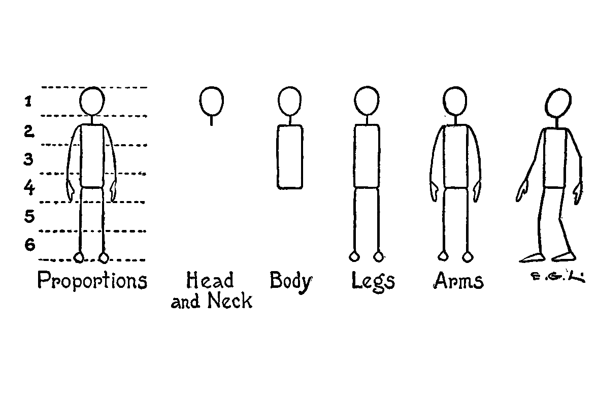 Body Proportions Drawing Images