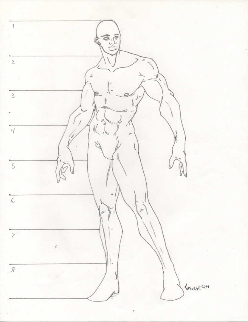 Body Proportions Drawing Photo