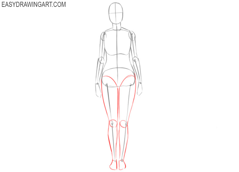Body Proportions Drawing Photos