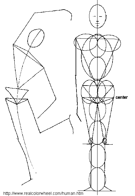 Body Proportions Drawing Pics