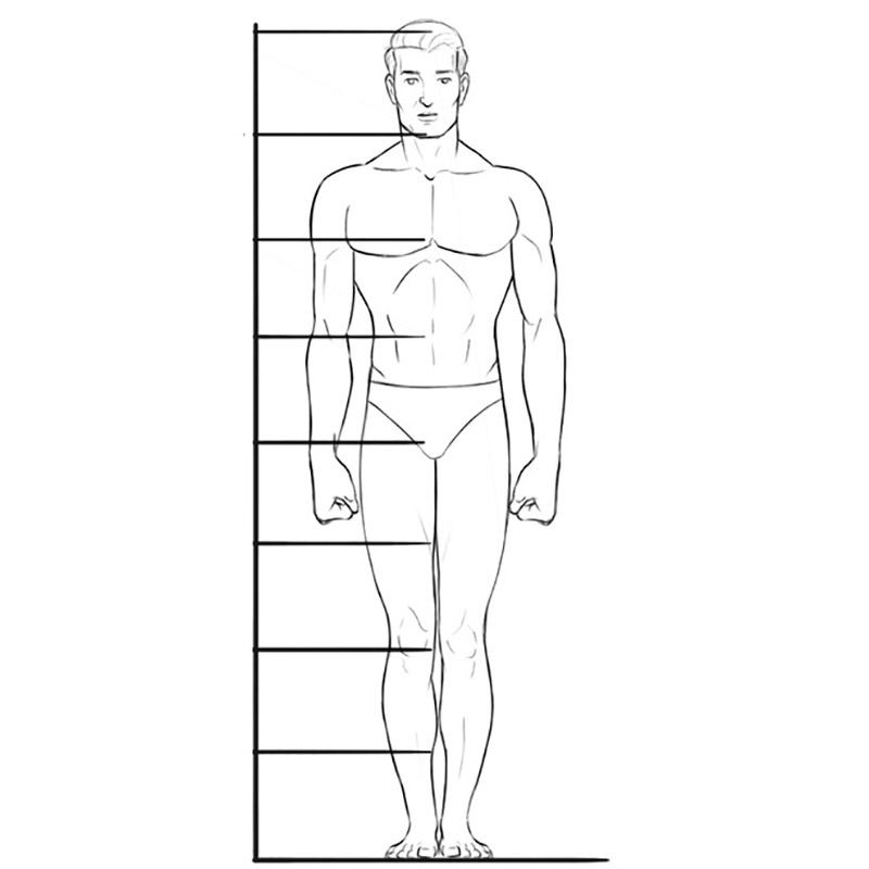Body Proportions Drawing Picture
