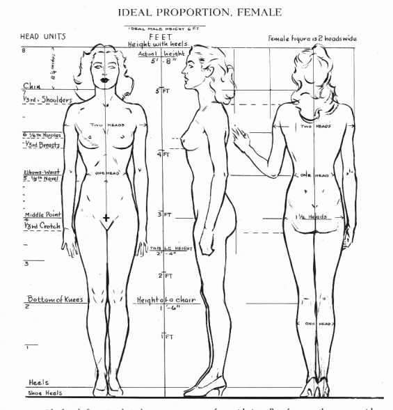 Body Proportions Drawing