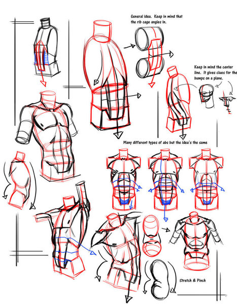 Body Reference Drawing Amazing