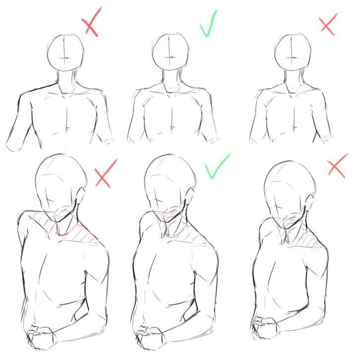 Body Reference Drawing Images