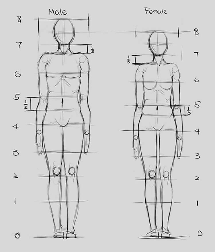 Body Reference Drawing Picture